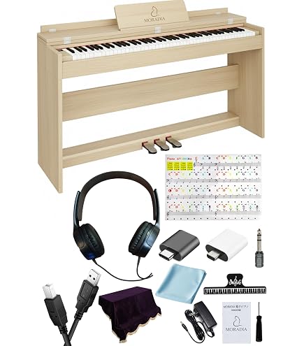 Amazon | KORG コルグ デジタルピアノ SP-250WS ホワイトシルバー